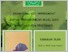 [thumbnail of buku saku ppmt - Selfia Gupitasari.pdf]