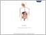 [thumbnail of MODUL PRAKTIKUM ANATOMI SISTEM DIGESTIVUS.pdf]