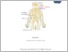 [thumbnail of MODUL PRAKTIKUM ANATOMI SISTEM SARAF.pdf]