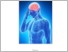 [thumbnail of MODUL PRAKTIKUM FT UPPER MOTOR NEURON rita new.pdf]