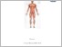 [thumbnail of MODUL PRAKTIKUM FT MUSKULOSKELETAL 1 BEDAH.pdf]