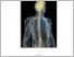 [thumbnail of MODUL PRAKTIKUM FT LOWER MOTOR NEURON.pdf]