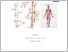 [thumbnail of MODUL PRAKTIKUM_FT OLAHRAGA Pak Nasri new1.pdf]