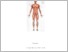 [thumbnail of MODUL PRAKTIKUM FT MUSKULOSKELETAL 1 BEDAH.pdf]