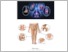 [thumbnail of MODUL reumatologi.pdf]